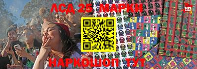 шишки Кимры