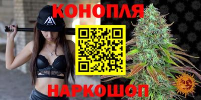 шишки Кимры