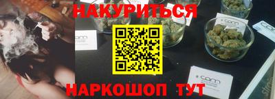 шишки Кимры