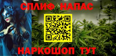 шишки Кимры