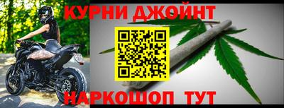 МДПВ Кингисепп